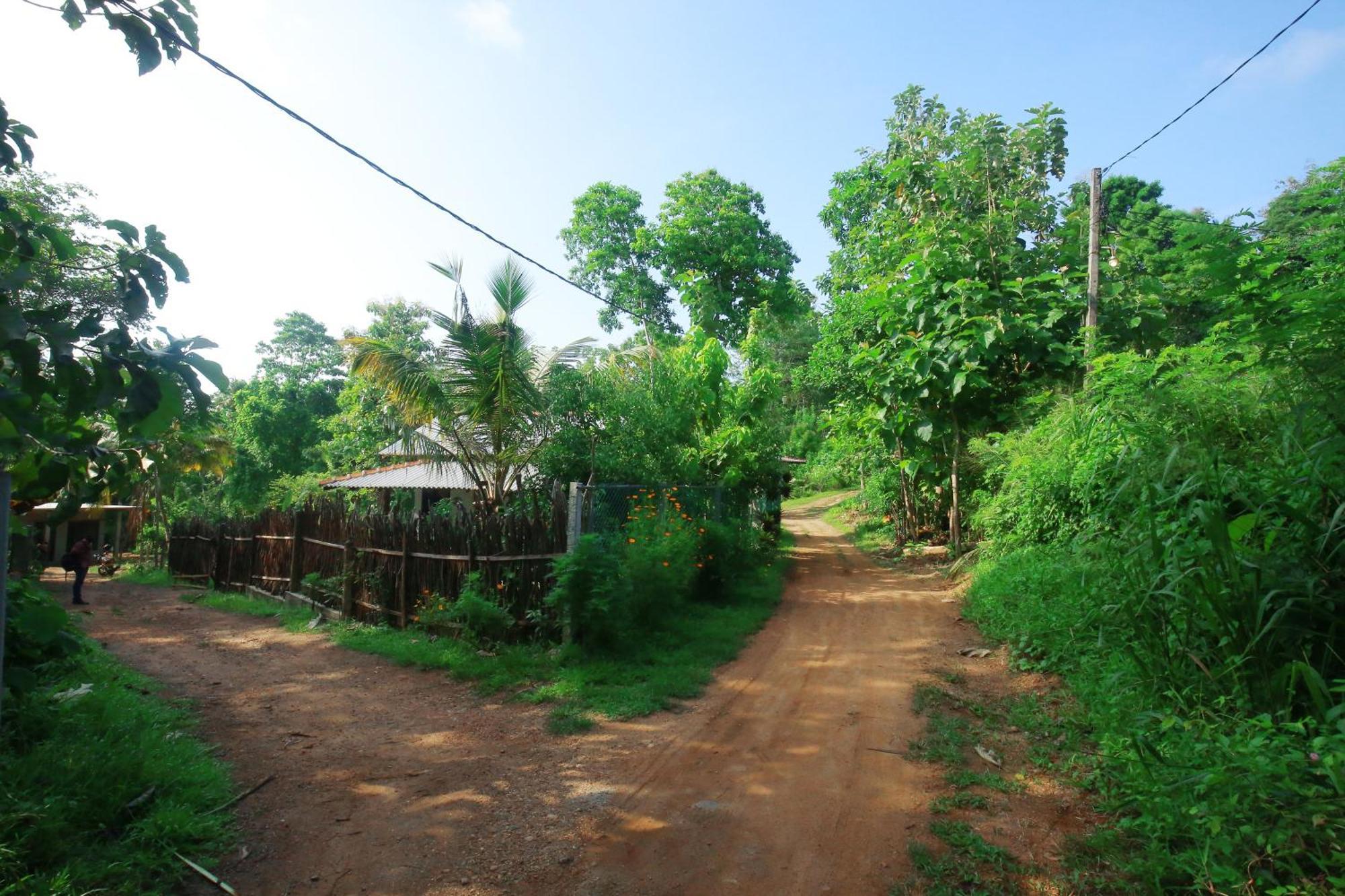 Hiriketiya Don Simon Villa ดิคเวลลา ภายนอก รูปภาพ